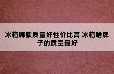 冰箱哪款质量好性价比高 冰箱啥牌子的质量最好